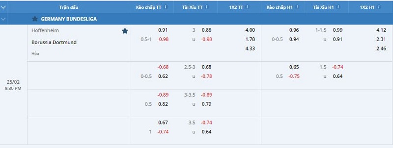 Tỷ lệ kèo cược trận Hoffenheim vs Dortmund