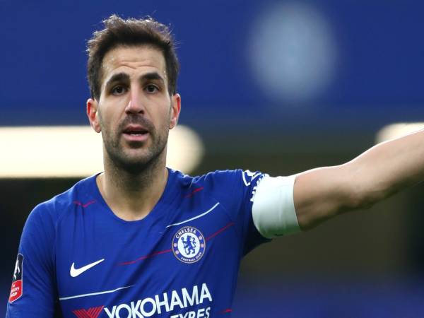 Cesc Fabregas