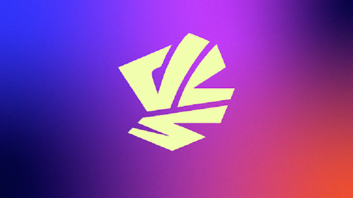 Logo chính thức cùng màu sắc chủ đạo của VCS