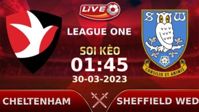Lịch thi đấu, link xem Cheltenham vs Sheffield Wed  vào lúc 01h45 ngày 30/03