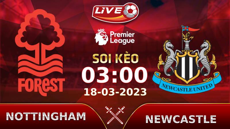 Lịch thi đấu, link xem Nottingham vs Newcastle vào lúc 03h00 ngày 18/03